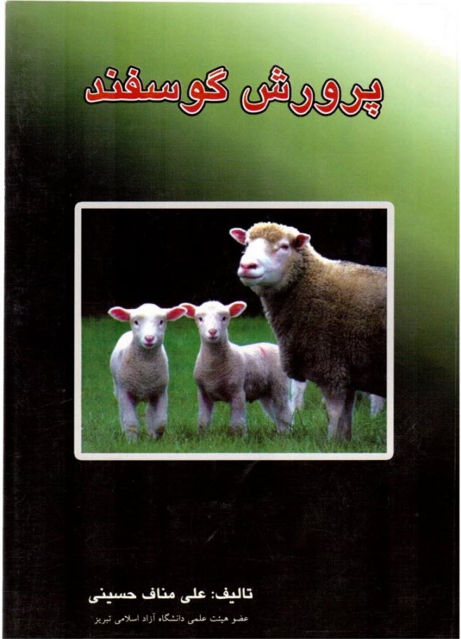 پرورش گوسفند، مناف حسيني، آشينا