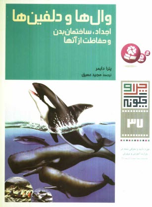 وال‌ها و دلفين‌ها: اجداد، ساختمان بدن و حفاظت از آنها