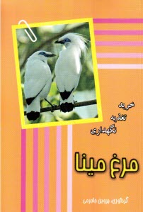 مرغ مينا: خريد تغذيه نگهداري