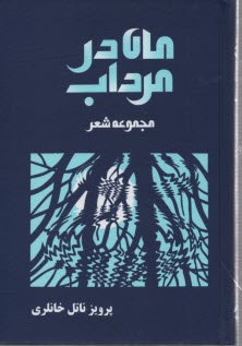 ماه در مرداب: مجموعه شعر 