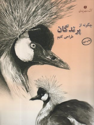 چگونه از پرندگان طراحي كنيم  