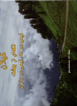 بيد بي‌ليلا  