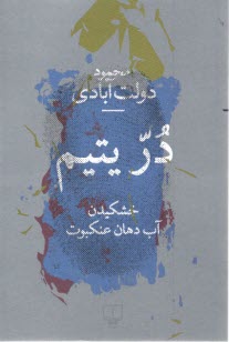 در يتيم؛ خشكيدن آب دهان عنكبوت  