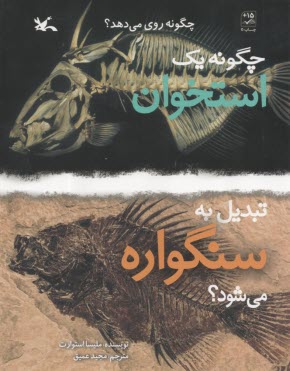 چگونه يك استخوان تبديل به سنگواره مي‌شود؟  