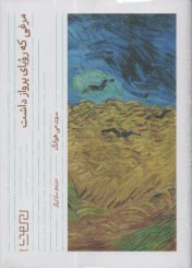 مرغي كه روياي پرواز داشت  